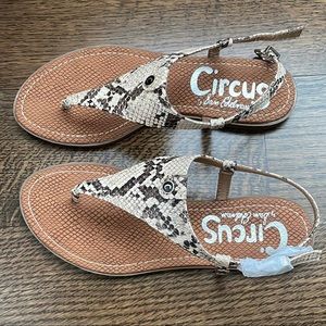 Circus by Sam Edelman Thong Sandal